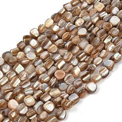 Верблюжий Натуральные бусины из ракушек трохуса, самородки, верблюжие, 6~8x5~9x4~8 мм, отверстие : 1 мм, около 53 шт / нитка, 15.75~16.02'' (40~40.7 см)