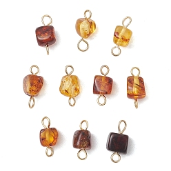 Золотой Натуральные янтарные соединительные подвески, кубические звенья с 304 двойными петлями из нержавеющей стали, золотые, 13~14x5~8x5~8 мм, отверстие : 1.6~2 мм