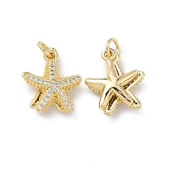 Морская звезда Латунные микро проложить кубического циркония подвески, без кадмия и без свинца, долговечный, стойки покрытие, с целью перехода в кольце, морская звезда, 15.5x13.5x5.5 мм, Перейти кольцо: 5x1 мм, внутренний диаметр: 3 мм