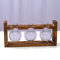 Другие Стеклянный гидропонный контейнер настольное искусство украшение, с находкой по дереву, кокосовый brwon, лампа, 276x57x130 мм