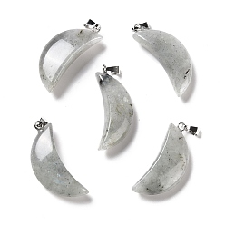Лабрадорита Природные подвески лабрадорита, с латунной фурнитурой платинового цвета, луна, 32~34x13~15x8~9 мм, отверстие : 2x6 мм