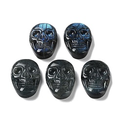 Skull Кабошоны из натурального лабрадорита с гравировкой, череп, 50~50.5x34~ 34.5x10~11 мм