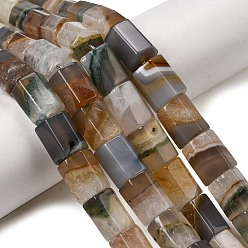 Натуральный Агат Природный агат бисер нитей, шестиугольная призма, 12~14x10~12x9.5~11.5 мм, отверстие : 1.2~1.6 мм, около 30 шт / нитка, 15.75'' (40 см)