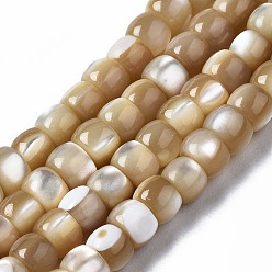 BurlyWood Natural Trochid Shell/Trochus Shell Beads Strands, Column, Seashell Color, 6x3~4mm, Hole: 0.8mm, about 101~102pcs/strand, 15.94 inch(40.5cm)