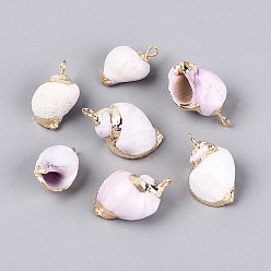 Фиолетовый Подвески из натуральных морских ракушек, покрытые гальваническим способом, подвески в форме ракушек, с медными петлями, золотые, фиолетовые, 17.5~23x10~13x10~14 мм, отверстие : 1.5~1.8 мм