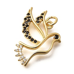 Pigeon Латунные микро проложить кубического циркония подвески, без кадмия и без свинца, настоящие 18k позолоченные подвески, с целью перехода в кольце, голубь, 24x18.5x3.5 мм, отверстие : 3 мм