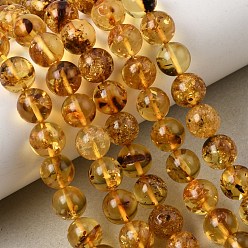 Золотистый Янтарные шарики нити, круглые, сгладить, золотые, 8 мм, отверстие : 0.5 мм, около 47 шт / нитка, 14.96'' (38 см)
