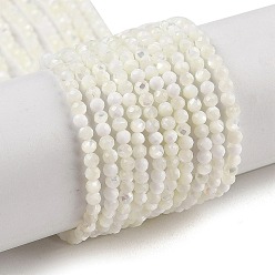 Белый Дым Натуральные бусины из ракушек трохуса, граненые, круглые, серый, 2~2.5 мм, отверстие : 0.5 мм, около 187~215 шт / нитка, 16.02~16.14 дюйм (40.7~41 см)