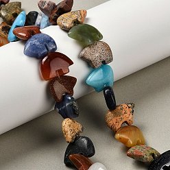 Смешанные камни Натуральные и синтетические, смешанные драгоценный камень бисер пряди, Zuni медведь, смешанные окрашенные и неокрашенные, 10~13x14~19x4~6 мм, отверстие : 0.8 мм, около 33~34 шт / нитка, 14.76'' (37.5 см)