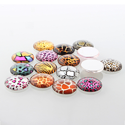 Mixed Color Animal Skin Printed Glass Cabochons, Half Round/Dome, Mixed Color, 10x4mm