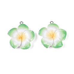 Светло-зеленый Непрозрачные подвески смолы, цветок с платиновой железной петлей, светло-зеленый, 34~35x30~31.5x7.5~8 мм, отверстие : 2 мм