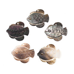 черная губная раковина Подвески из натуральной черной ракушки-губы, рыбы прелести, 26.5~27x23.5~25x2~3 мм, отверстие : 1.6 мм