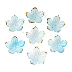 Светло-Голубой Прозрачные колпачки акриловая бисера, с золотым краем, цветок, Небесно-голубой, 23.5x1.5 мм, отверстие : 1.5 мм, Около 962 шт / 500 г