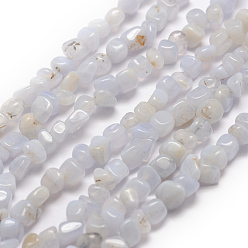 Синий Кружевый Агат Натуральный голубой кружевной агат бисер нитей, чип, 3~5x3~5x3~8 мм, отверстие : 1 мм, около 85~90 шт / нитка, 15.7 дюйм (40 см)