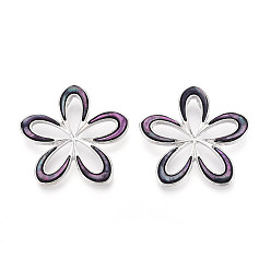 Средняя Орхидея Подвески из сплава и окрашенных натуральных раковин морского ушка, , платина, средне орхидеи, 37~37.5x38.5~39x3.5~4 мм, отверстие : 7.5x3.5~4 мм