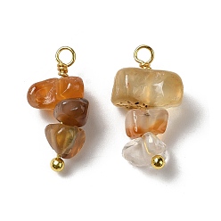 Red Agate Натуральный красный агат подвески, Подвески-самородки с петлями из латуни, покрытыми настоящим золотом 18k, 13~19x7~13x5~7 мм, отверстие : 1.5~1.6 мм
