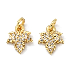 Золотой Латунные микро проложить кубического циркония подвески, лист прелести, с целью перехода в кольце, стойки покрытие, прочное покрытие, без кадмия и без свинца, золотые, 11x9.5x2 мм, отверстие : 3 мм