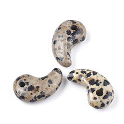 Далматинских Джаспер Природные яшмы далматин подвески, Магатама, 30x18x8~11 мм, отверстие : 3~4 мм