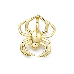 Настоящее золото 18K Латунные подвески, прелести паука, долговечный, без свинца и без кадмия, стойки покрытие, реальный 18 k позолоченный, 18.5x16.5x2.5 мм, отверстие : 5x3.5 мм