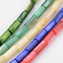 Mixed Color Natural Shell Bead Strands, Dyed, Column, Mixed Color, 5x10mm, Hole: 1mm, about 39pcs/strand, 15.9 inch