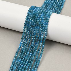 Апатит Природного апатита нитей бисера, граненые, круглые, 3.5 мм, отверстие : 0.6 мм, около 121~124 шт / нитка, 15.28''~15.47'' (38.8~39.3 см)