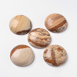 Пейзажный Джаспер Естественная картина яшма кабошоны, плоский зад, полукруглые / купольные, 28x7~8 мм