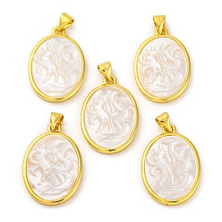 Белые Ракушки Подвески из натуральной белой ракушки в виде девятихвостой лисы, стойка покрытие латунные овальные подвески, золотые, 25x17x3.5 мм, отверстие : 3.5x5 мм