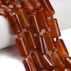 Red Agate Натуральный красный агат бисер нитей, цилиндрические бусины, окрашенная и подогревом, колонка, с бисером, 24.5~25x11~12 мм, отверстие : 0.9~1 мм, около 14 шт / нитка, 15.75'' (40 см)