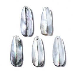 Black Lip Shell Natural Black Lip Shell Pendants, Petaline, 26~28x10~11x2~5mm, Hole: 1mm