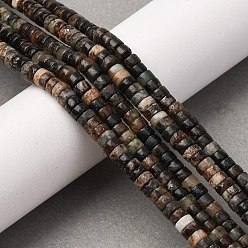 Биотит Природного биотита нитей бисера, диск, Heishi бусы, 4~5x2~2.5 мм, отверстие : 0.7 мм, около 160 шт / нитка, 15'' (38.1 см)