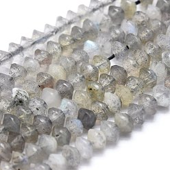 Labradorite Natural Labradorite Beads Strands, Faceted, Bicone, 3.5~4x2~3mm, Hole: 0.6mm, about 171pcs/strand, 15.55 inch(39.5cm)