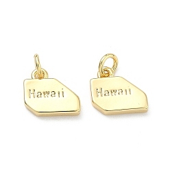 Настоящее золото 18K Латунные подвески, самородки с подвесками в виде слов «Гавайи», долговечный, стойки покрытие, без свинца и без кадмия, реальный 18 k позолоченный, 10.5x11.5x2.5 мм, Перейти кольцо: 5x1 мм, 3 мм внутренним диаметром