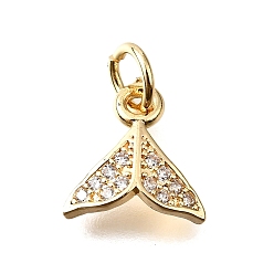 Золотой Подвески из фиштейла из латуни с микропаве из кубических цирконий, стойки покрытие, долговечный, с целью перехода в кольце, золотые, 10x10x2 мм, отверстие : 3 мм