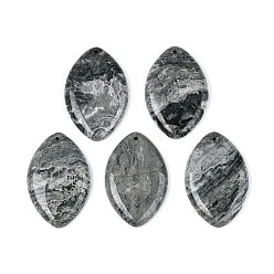 Horse Eye Подвески из натурального камня в форме карты, Очарование лошадиных глаз, 49.5~50.5x32~33x7~7.5 мм, отверстие : 1.8~2 мм