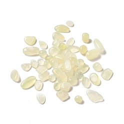 New Jade Natural New Jade Beads, No Hole/Undrilled, Nuggets, 8~18x7.5~9x3~7.5mm, about 515pcs/500g