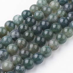 Agate Mousse Naturelles agate perles brins, ronde, 8~8.5mm, Trou: 1mm, Environ 45~47 pcs/chapelet, 14.9 pouce (38 cm)