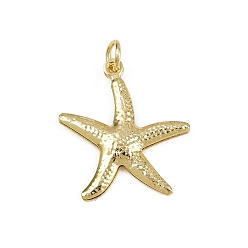Морская звезда Латунные подвески, долговечный, стойки покрытие, без кадмия и без свинца, с целью перехода в кольце, реальный 18 k позолоченный, морская звезда, 22x20x2 мм