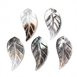 Black Lip Shell Natural Black Lip Shell Pendants, Leaf, 27~28x13x3mm, Hole: 1mm