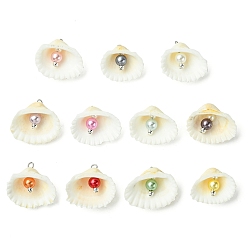 Платина Подвески из натурального ракушечного и искусственного жемчуга, подвески в форме ракушки с железными петлями, разноцветные, платина, 20.5~23x24~26x8.5~9 мм, отверстие : 2 мм