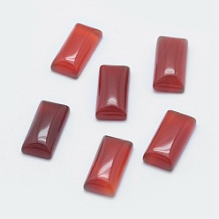 Carnelian Natural Carnelian Cabochons, Dyed & Heated, Rectangle, 14x7x3.5mm