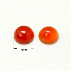 Красный Агат Натуральный красный агат кабошонов, полукруглый, красные, 6x3~3.5 мм
