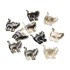 черная губная раковина Оболочки губ натуральный черный подвески, кошачье очарование, 16x13.5x2 мм, отверстие : 1.2 мм