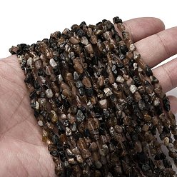 Chiastolite Нити из натуральных киастолитовых бусин, самородки, 5~9x4~6x3~4.5 мм, отверстие : 0.7 мм, около 75~89 шт / нитка, 15.35'' (39 см) ~ 15.94'' (40.5 см)