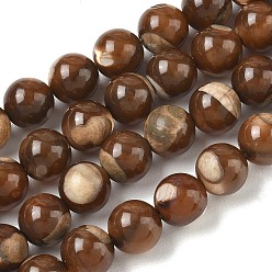 Coconut Brown Natural Trochus Shell Beads Strands, Smooth Round, Coconut Brown, 8mm, Hole: 1mm, about 50pcs/strand, 14.96''(38cm)