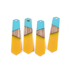 Золотистый Подвески из непрозрачной смолы и ореха, полигон прелести, золотые, 49.5x12.5x4 мм, отверстие : 2 мм