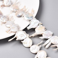Морская Ракушка Натуральный жемчуг в стиле барокко кеши, форма ушей кролика, цвет морской раковины, 19~35.5x18~62x4~9 мм, отверстие : 0.6 мм, около 18~20 шт / нитка, 14.96~16'' (38~40 см)