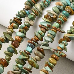 Бирюза из Хубэя Натуральные нити бирюзовый шарик Hubei, самородок, 4.5~11x4.5~11x1~5 мм, отверстие : 0.5 мм, 15.04~15.63'' (39.2~39.7 см)