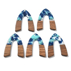 Морской Синий Подвески из смолы и ореха, Marine Blue, 37.5x29x2.5 мм, отверстие : 2 мм