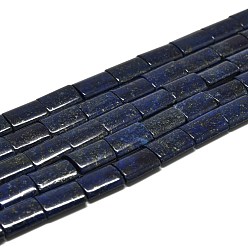Lapis Lazuli Natural Lapis Lazuli Beads Strands, Rectangle, 20~21x15x5~6mm, Hole: 0.8mm, about 19pcs/strand, 15.35''(39cm)
