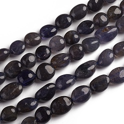 Iolite Natural Iolite Beads Strands, Tumbled Stone, Nuggets, 10~15x7.5~11.5x7.5~12.5mm, Hole: 1mm, about 36pcs/Strand, 15.67 inch(39.8 cm)